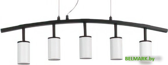 Подвесная люстра Lightstar Rullo LR735365 - фото