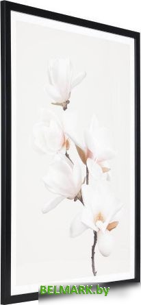 Картина Eglo Roberval 423086 - фото