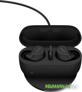 Наушники Jabra Evolve2 Buds MS USB-A Wireless Charging Pad - фото