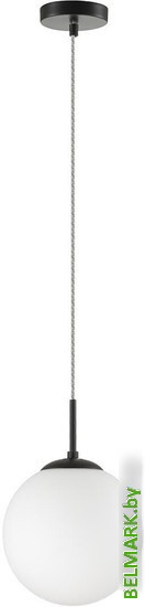 Подвесная люстра Lumion Summer 6510/1B - фото