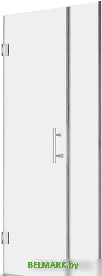 Душевая дверь RGW HO-012 350601200-21 100 (хром/сатинат стекло) - фото