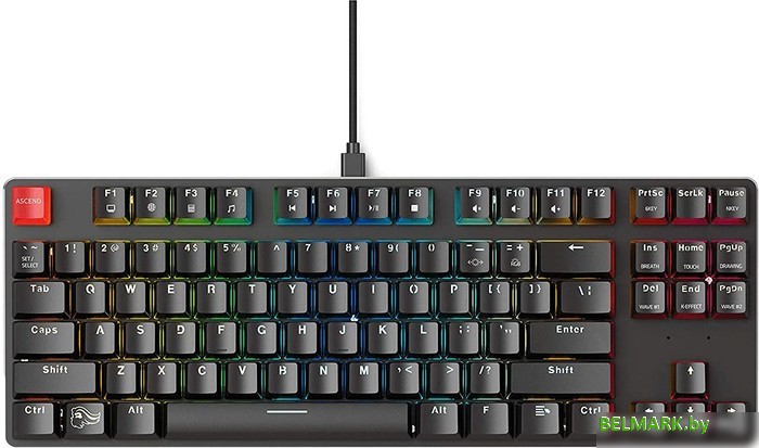 Клавиатура Glorious GMMK Tenkeyless (нет кириллицы) - фото