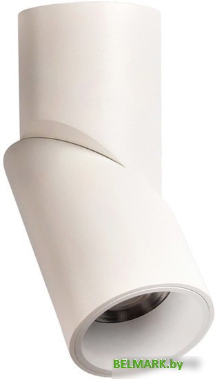 Спот Omnilux Arlate OML-101809-12 - фото