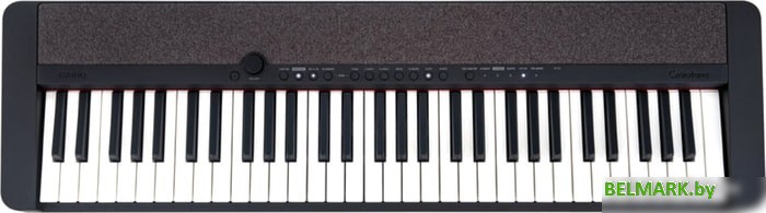 Цифровое пианино Casio CT-S1 (черный) - фото