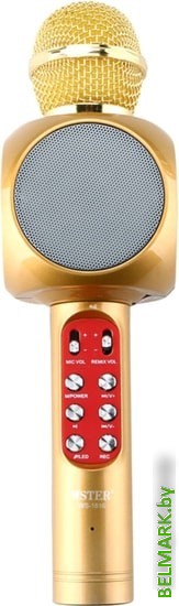 Микрофон Wster WS-1816 (золотистый) - фото