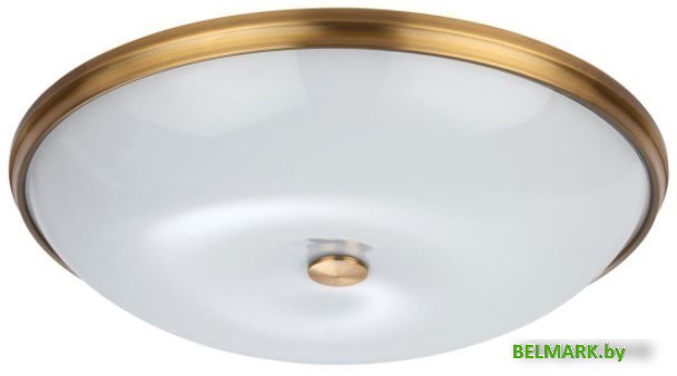 Люстра-тарелка Odeon Light Pellow 4956/2 - фото