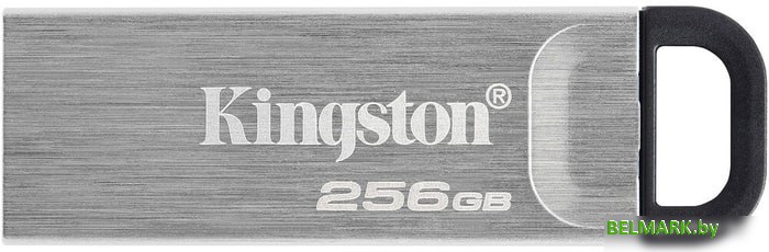USB Flash Kingston Kyson 256GB - фото