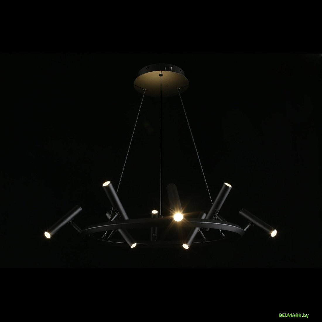 Подвесная люстра Aployt APL.067.03.40 - фото2