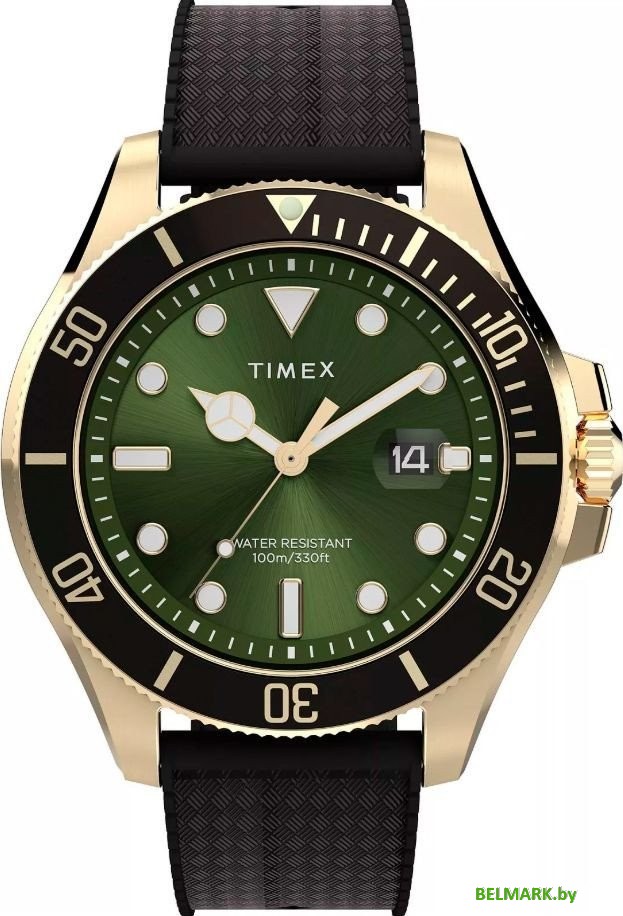 Наручные часы Timex TW2Y05300 - фото