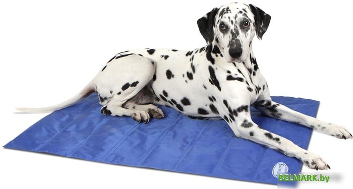 Лежак Scruffs Cool Mat 934620 (голубой) - фото2