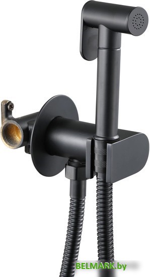 Смеситель Savol S-FXQ001H - фото