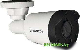 IP-камера Tantos TSi-Pe25FP - фото