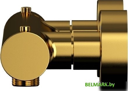 Смеситель Whitecross Y1246GL (золото) - фото2