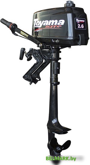 Лодочный мотор Toyama T2.6СBMS - фото