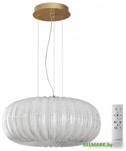 Подвесная люстра Sonex Angelo 7720/48L - фото