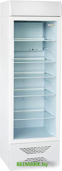 Торговый холодильник Бирюса 310P - фото