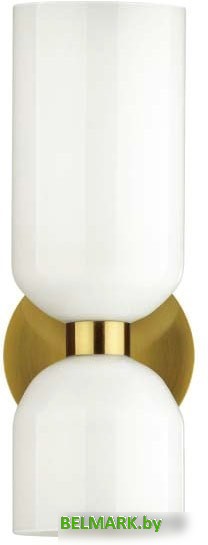 Бра Odeon Light Orinoco 4798/2W - фото