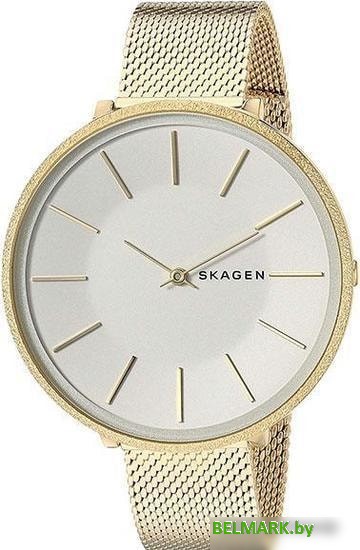 Наручные часы Skagen SKW2722 - фото