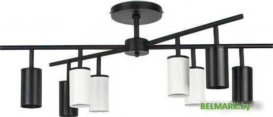 Люстра средней высоты Lightstar Rullo LR728374364 - фото