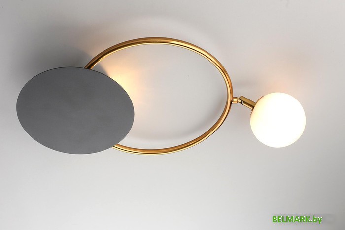 Подвесная люстра Aployt Elonora APL.306.01.02 - фото2