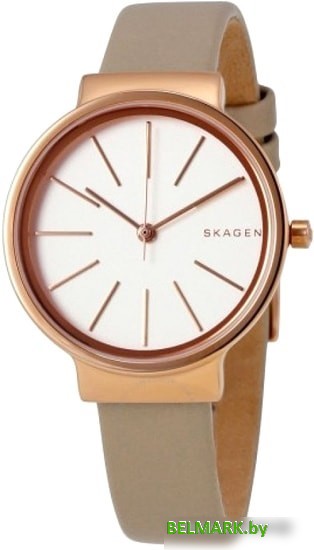 Наручные часы Skagen SKW2481 - фото2
