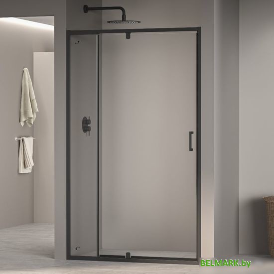 Душевая дверь RGW PA-008-B 350800801-14 100 (черный/прозрачное стекло) - фото