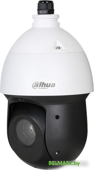 CCTV-камера Dahua DH-SD49225DB-HC - фото