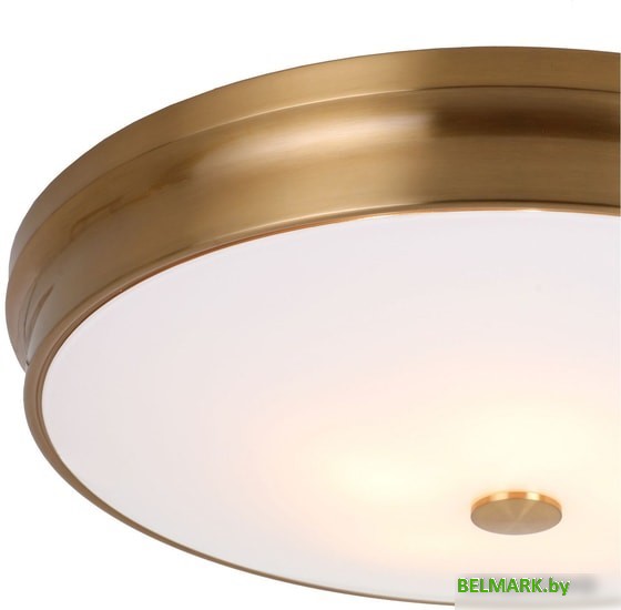 Припотолочная люстра Favourite Pannikin 2375-5C - фото2