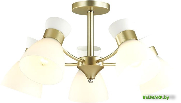 Люстра средней высоты Lumion Wilma 4535/5C - фото