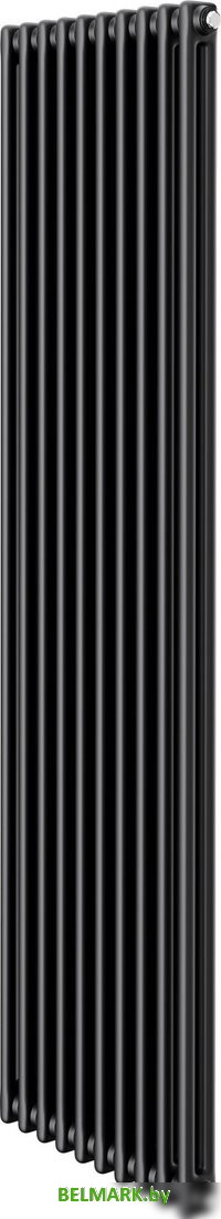 Стальной трубчатый радиатор Royal Thermo Insignia C2180 - 10 секций RAL9005m - фото