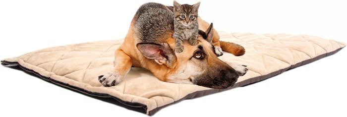 Лежак Duvo Plus Флекта 4198011/DV - фото