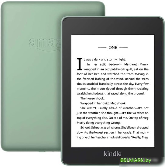 Электронная книга Amazon Kindle Paperwhite 2018 32GB (шалфей) - фото