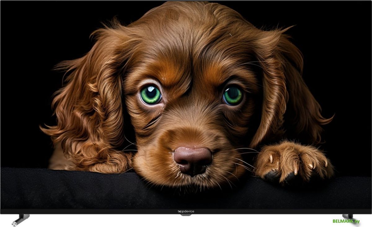 Телевизор Topdevice 65" QLED CQ09 - фото