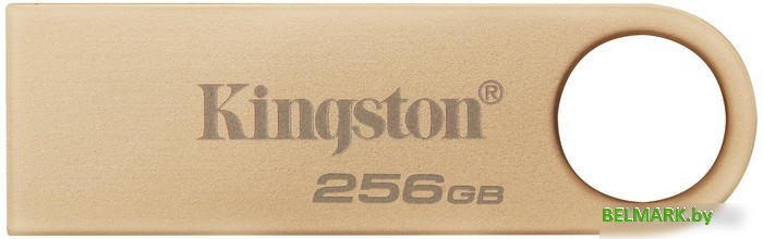 USB Flash Kingston DataTraveler SE9 G3 256B DTSE9G3/256GB - фото
