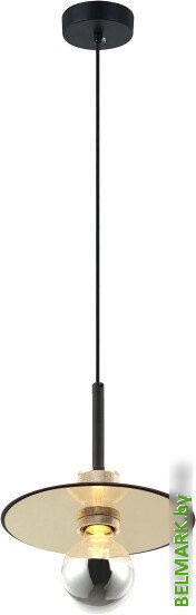 Подвесная люстра Lussole Butler LSP-8488 - фото