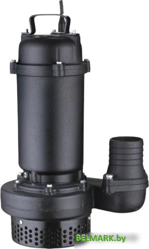 Дренажный насос Pumpman TPS1900A - фото