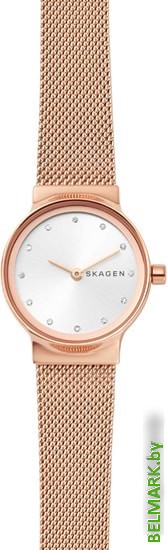 Наручные часы Skagen SKW2665 - фото