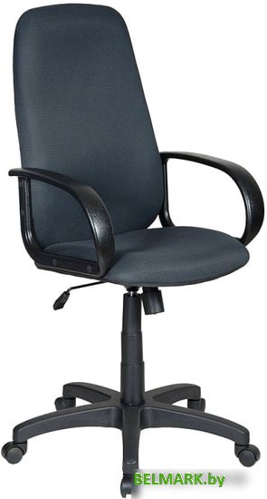 Кресло Бюрократ CH-808AXSN/TW-12 (серый) - фото