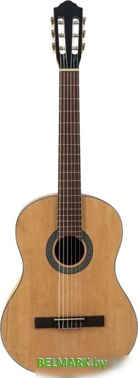 Акустическая гитара Flight C-100 NA 4/4 - фото