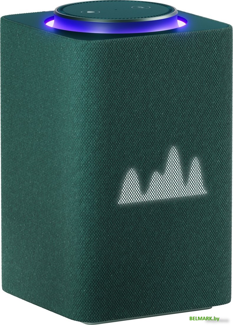 Умная колонка Яндекс Станция Макс (с хабом умного дома Zigbee, зеленый) - фото