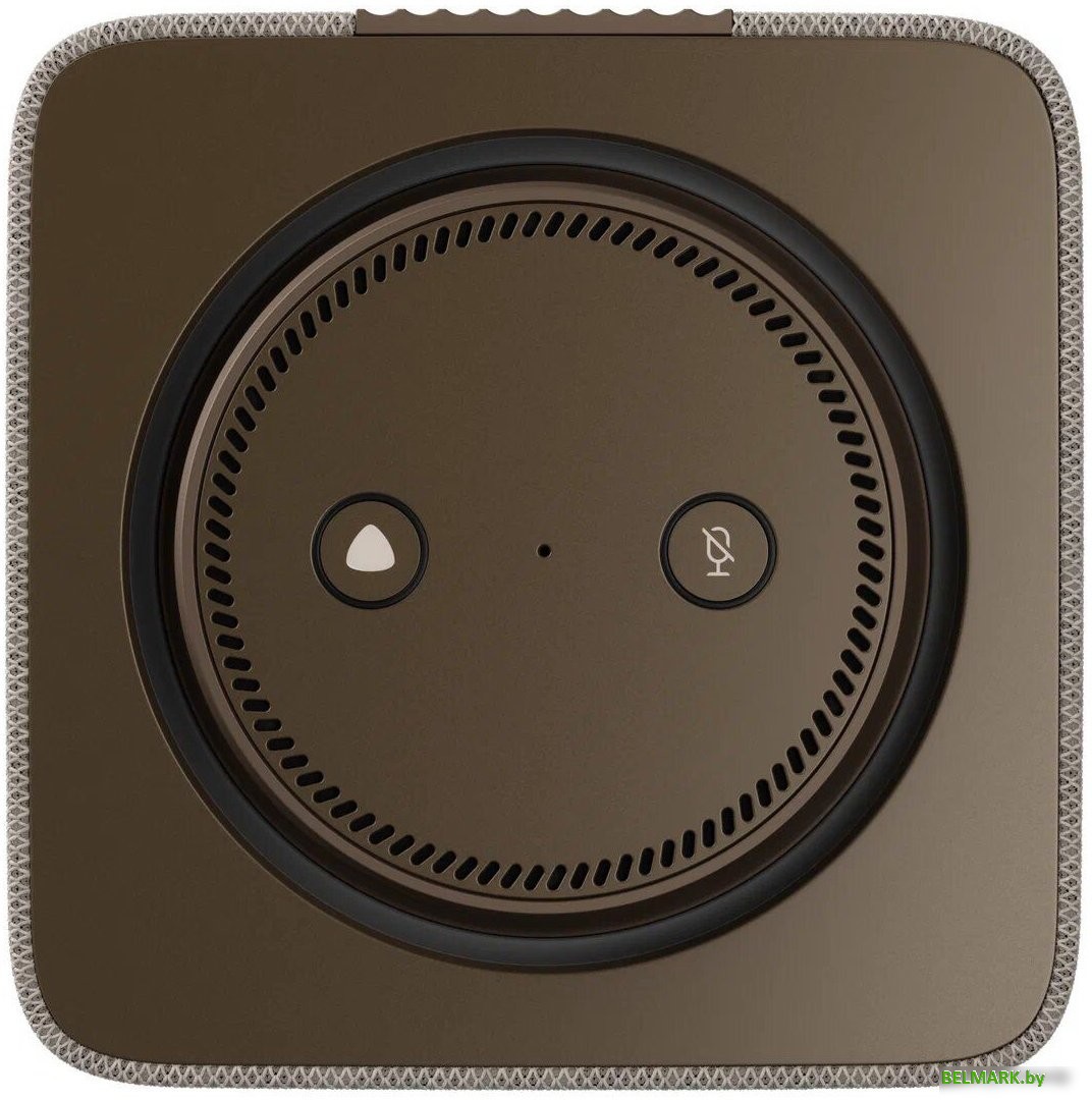 Умная колонка Яндекс Станция Макс (с хабом умного дома Zigbee, бежевый) - фото2