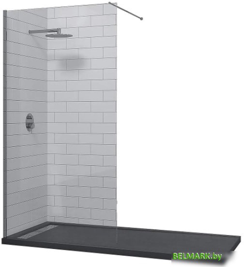 Душевая стенка RGW WA-010 110 (хром/матовое стекло) - фото