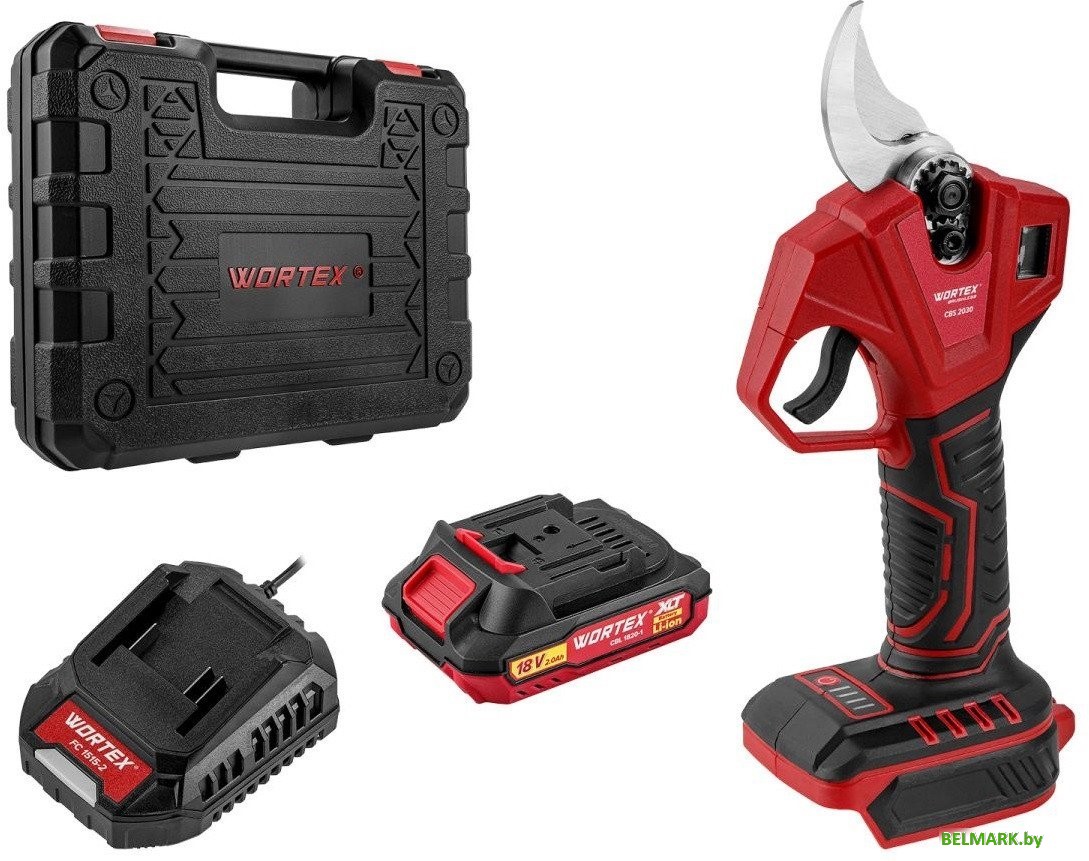 Секатор Wortex CBS 2030 1329798 (с 1-им АКБ, кейс) - фото
