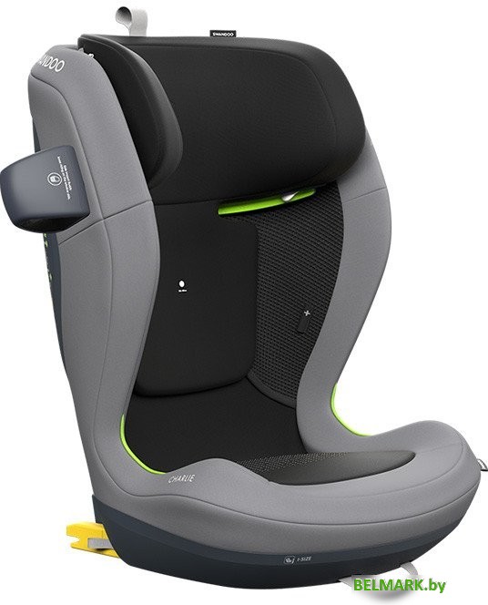 Детское автокресло Swandoo Charlie i-size (sesame grey) - фото