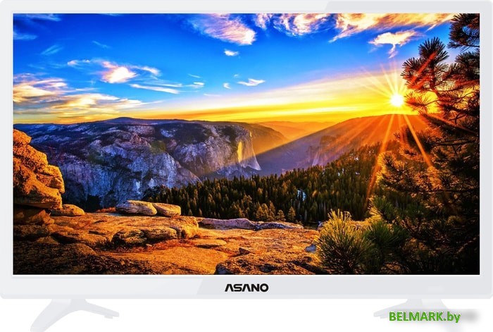Телевизор ASANO 24LH1011T - фото