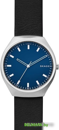 Наручные часы Skagen SKW6385 - фото