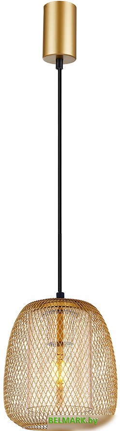 Подвесная люстра F-Promo 4348-1P - фото