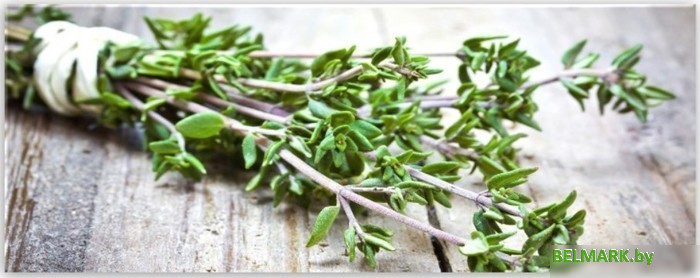 Картина на стекле Orlix Зелень пряная GL-01056 30x80 - фото