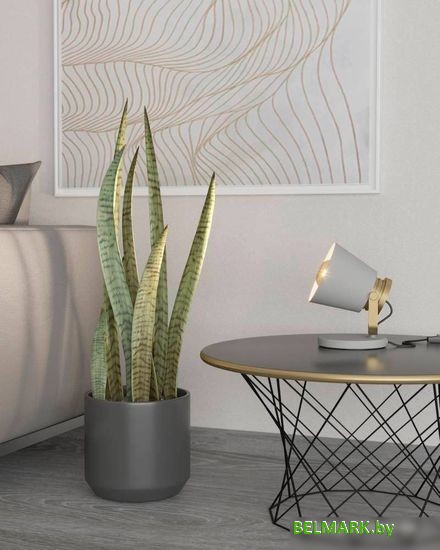 Настольная лампа Eglo Twicken 43841 - фото2