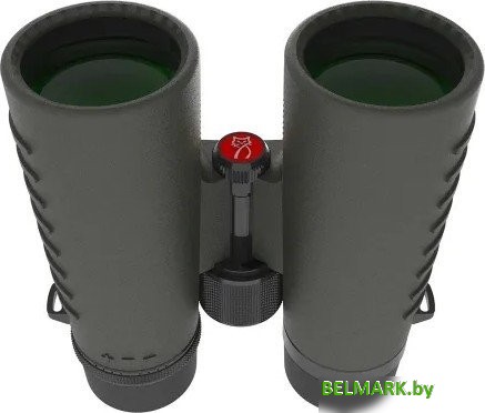 Бинокль Mewlite Eternals Pro 10x42 ED Roof - фото2